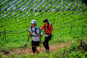 BIB: 1417, 1218
                            <button type="button" onclick="openModal(19164673)" class="btn btn-primary btn-sm float-right btn-popup" data-toggle="modal" data-target=".modal-high-quality">
                        <i class="fas fa-shopping-cart"></i> Add to Cart
                    </button>
                                            <button type="button" onclick="isThisMe(19164673, true)" class="btn btn-success btn-sm float-right btn-popup btn-isme hidden" data-toggle="tooltip" data-placement="bottom" title="นี่คือรูปของคุณใช่ไหม คลิกที่นี่เพื่อเอาเข้าอัลบั้ม">
                        <i class="fas fa-plus"></i> Add to album
                    </button>
                    <button type="button" onclick="isThisMe(19164673, false)" class="btn btn-warning btn-sm float-right btn-popup btn-isnotme hidden">
                        <i class="fas fa-ban"></i> Remove from album
                    </button>